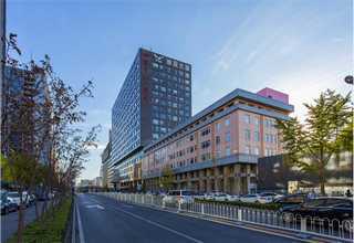 上海标准知识产权